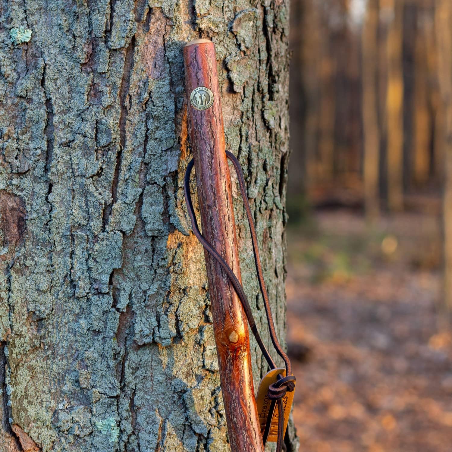 BRAZOS Free Form Rustic Wood Walking Stick, Traditional Handle, Made in USA