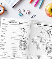 Carson Dellosa The 100+ Series: Human Body WorkbookGrades 5-8 Science Book, Human Anatomy, Bones, Muscles, Organs, the Nervous System, Health and Nutrition (128 pgs) (Volume 13)