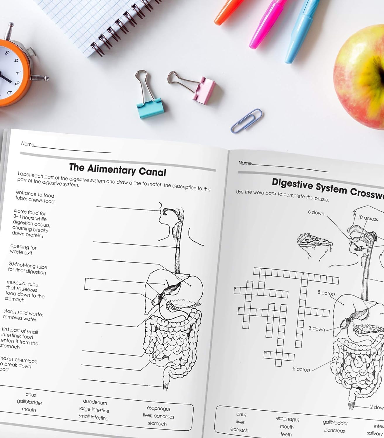Carson Dellosa The 100+ Series: Human Body WorkbookGrades 5-8 Science Book, Human Anatomy, Bones, Muscles, Organs