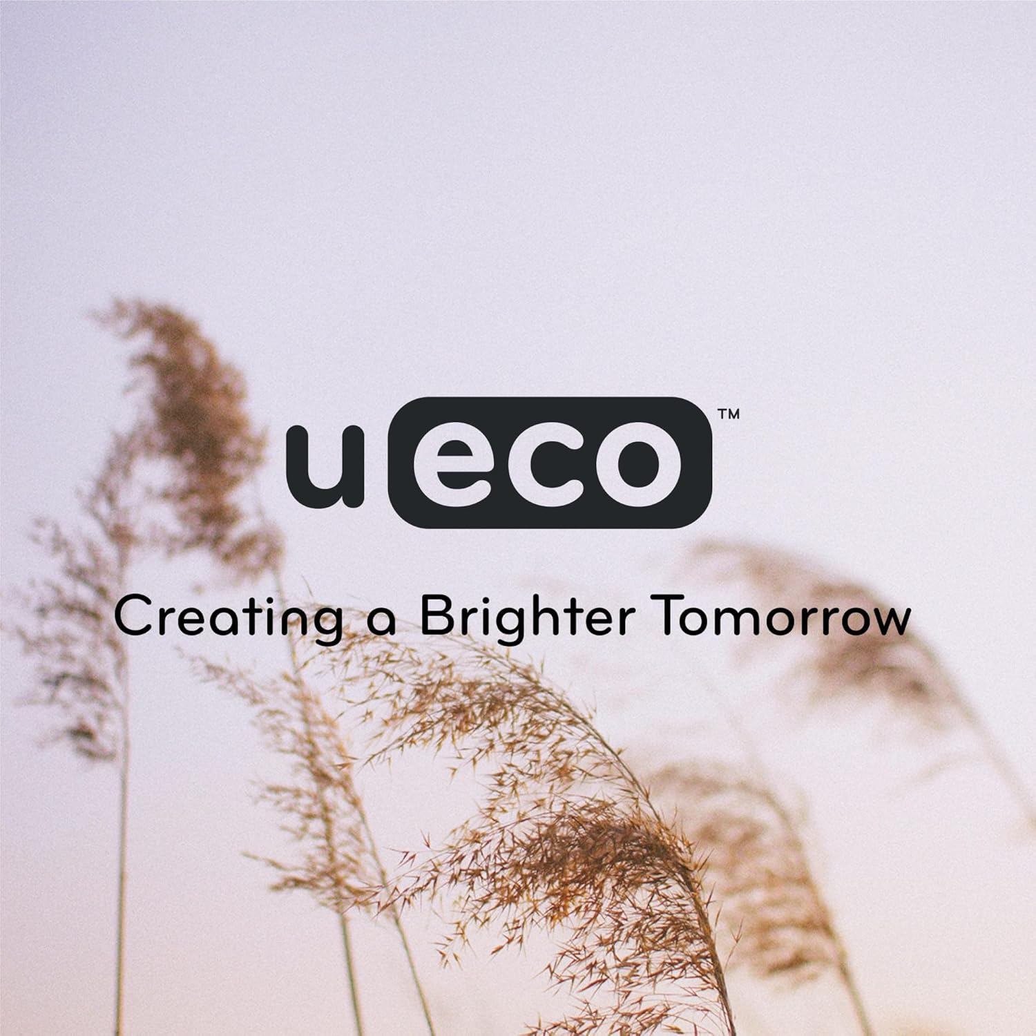 U Brands U-Eco Poly File Folders, Set of 24, Assorted Brights, 1/3-Cut Tabs, 100% Recycled Paper Labels (6597U01-12)