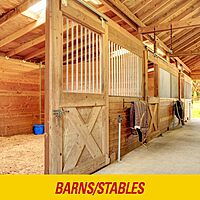 PIC FR10B 69060216325 Fly Ribbons Fruit Fly Traps for Indoors and Outdoors, Bug Trap for Winged Insects, Set of 10