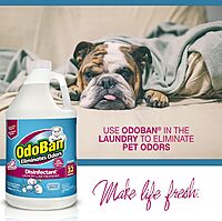 OdoBan Disinfectant Concentrate and Odor Eliminator, 2 Gallons, Cotton Breeze Scent