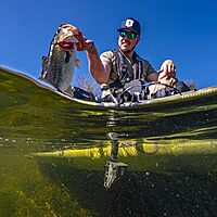 HYDROWAVE H2 Replacement Speaker with 14' Power Cord – 16-Bit CD Quality Sound – Compatible H2 Units Only