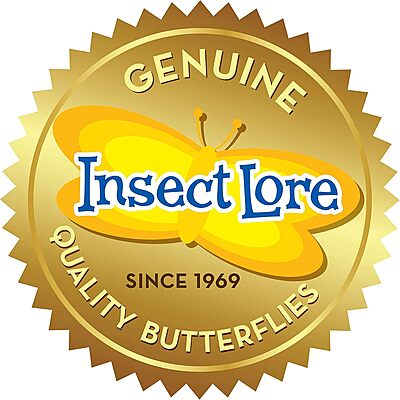 Insect Lore Raise and Release Butterfly Garden Kit – Caterpillar Habitat with redeemable Voucher – STEM-accredited Live Butterfly Growing Kit for Kids, Classrooms, and Homeschool Learning