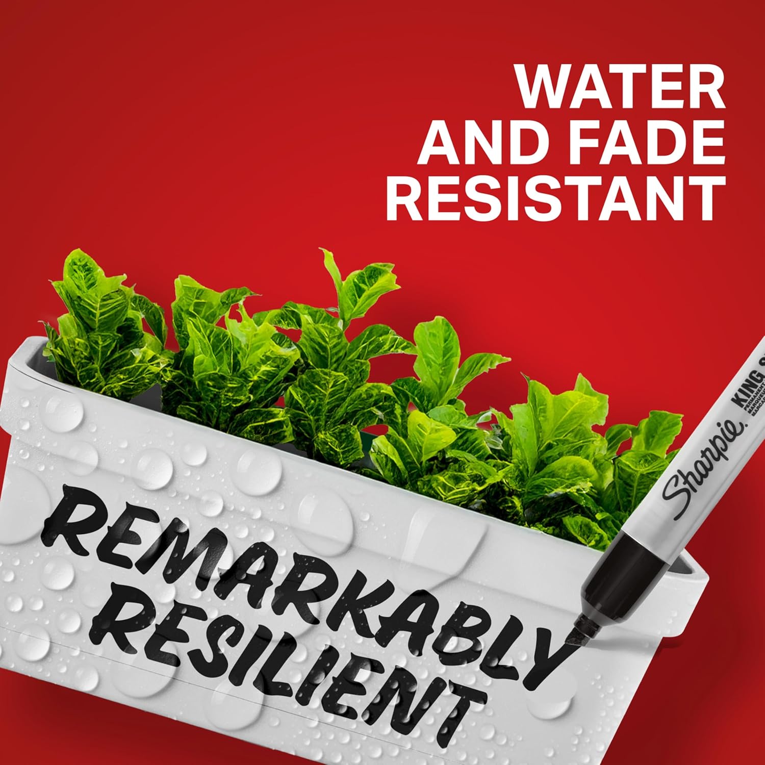 Sharpie Box of 12 Pro King Size Chisel Tip Permanent Markers 1 Count (Pack of 12)