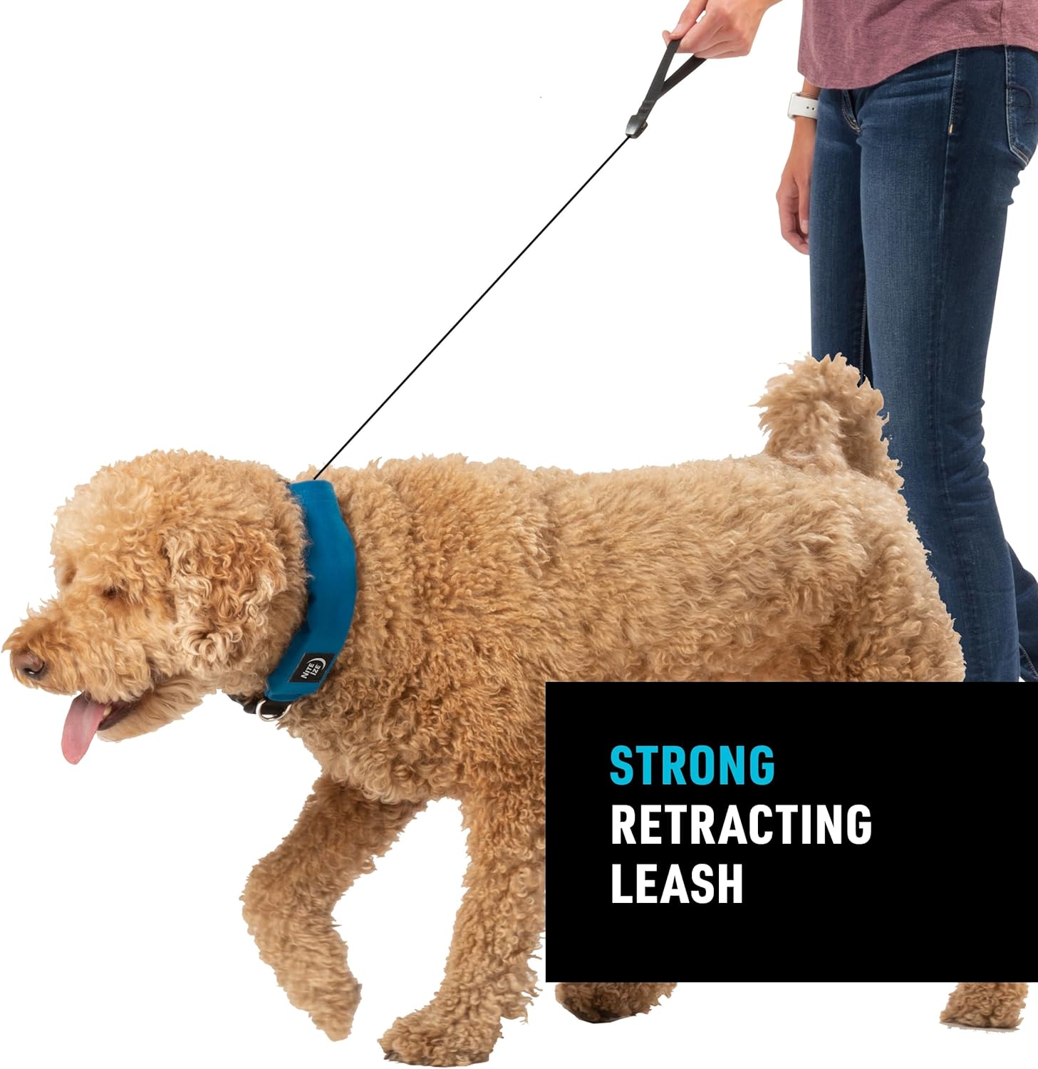 Nite Ize RadDog All-in-One Collar and Leash - Heavy-Duty Built-In 36-inch Retractable Leash