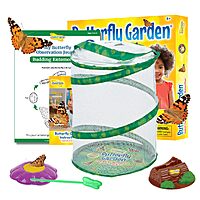 Insect Lore Raise and Release Butterfly Garden Kit – Caterpillar Habitat with redeemable Voucher – STEM-accredited Live Butterfly Growing Kit for Kids, Classrooms, and Homeschool Learning