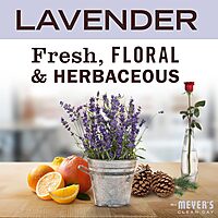 MRS. MEYER'S CLEAN DAY Liquid Dish Soap, Biodegradable Formula, Lavender, 16 fl. oz - Pack of 3 Lavender 48 Fl Oz (Pack of 1)