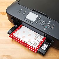 BARKER CREEK Designer Computer Paper Set, Letter Size 8.5 x 11, 200 Sheets (4 Designs)