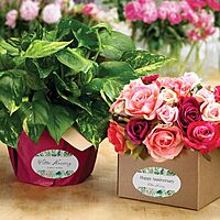 Avery Matte White Oval Labels, Sure Feed Technology, 4" x 6"