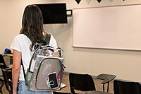 TRAILMAKER Heavy Duty Clear Backpack | Transparent Stadium-Approved for Women, Men, School, Travel