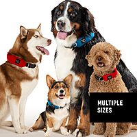 Nite Ize RadDog All-in-One Collar and Leash - Heavy-Duty Built-In 36-inch Retractable Leash