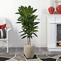 Nearly Natural 4ft. Dracaena Artificial Plant in Sand Colored Planter (Real Touch), Green