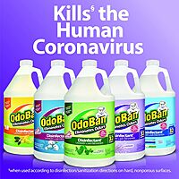 OdoBan Disinfectant Concentrate and Odor Eliminator, 1 Gallon, Lavender Scent