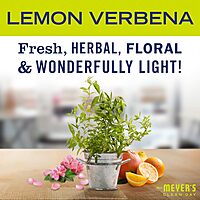 MRS. MEYER'S CLEAN DAY Basil Dish Soap (48 oz) & Lemon Verbena Hand Soap (33 oz) Bundle