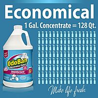 OdoBan Disinfectant Concentrate and Odor Eliminator, 2 Gallons, Cotton Breeze Scent