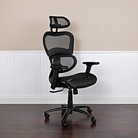 Flash Furniture LO Ergonomic Mesh Office Chair with 2-to-1 Synchro-Tilt, Adjustable Headrest, Lumbar Support