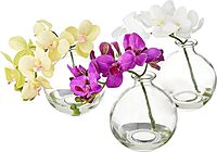 Nearly Natural 4208-S3 9" Phalaenopsis Orchid Artificial Arrangement in Vase (Set of 3), Multi/Color