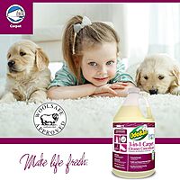 OdoBan Professional 3-in-1 Carpet Cleaner Concentrate, Made in the USA, 1 Gallon