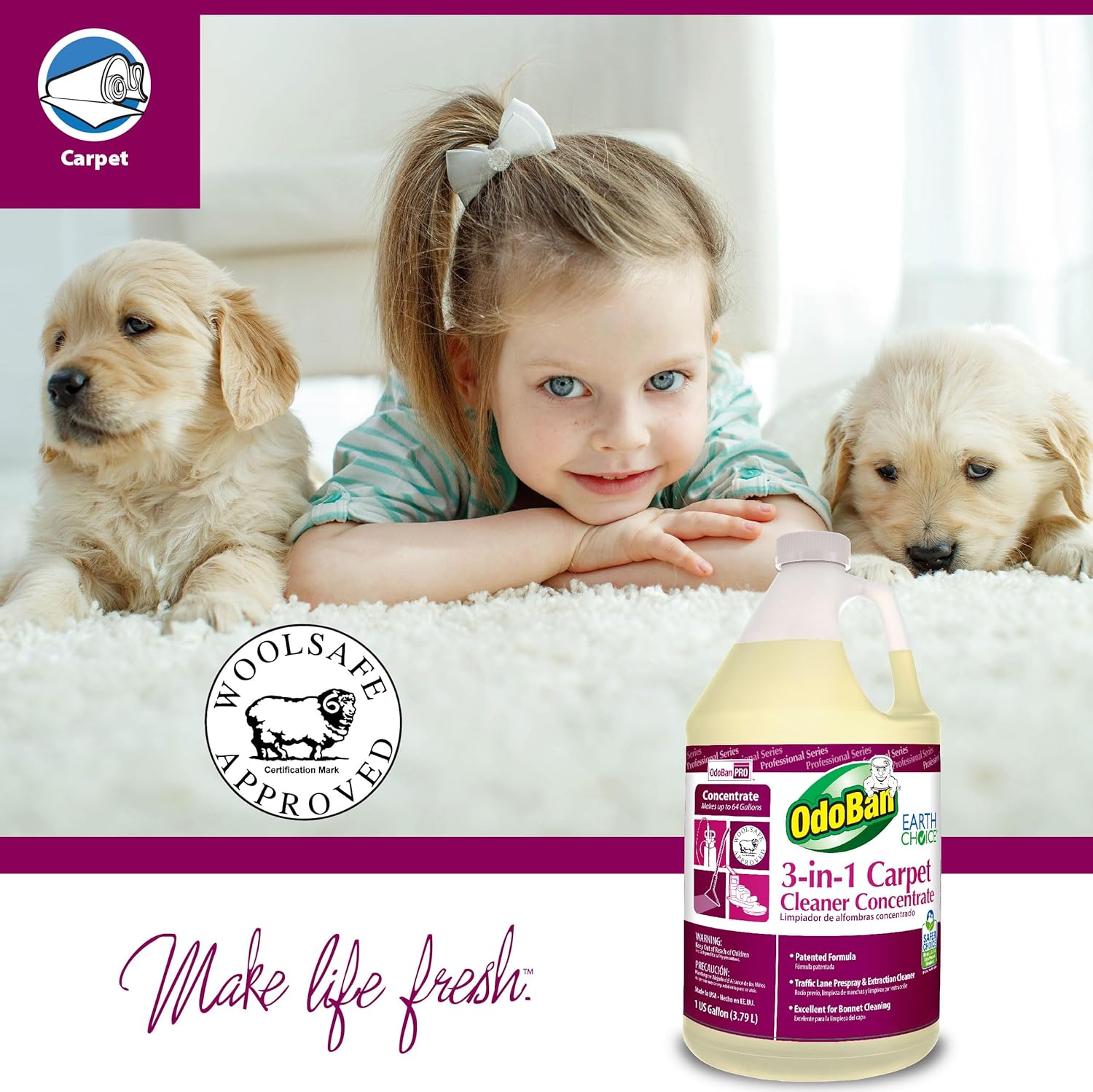 OdoBan Professional 3-in-1 Carpet Cleaner Concentrate, Made in the USA, 1 Gallon