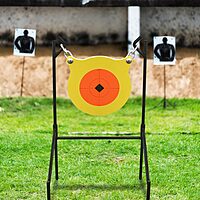 Birchwood Casey World of Targets Boomslang AR500 Steel Durable 0.5" Thick 9.5" Diameter Shooting Gong Target with Stand