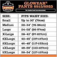 Ergodyne GloWear 8915 Class E Hi-Vis Rain Pants, Medium, Lime