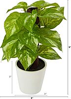 Nearly Natural 9in. Pothos Artificial Plant in White Planter (Real Touch) 1 Count (Pack of 1)