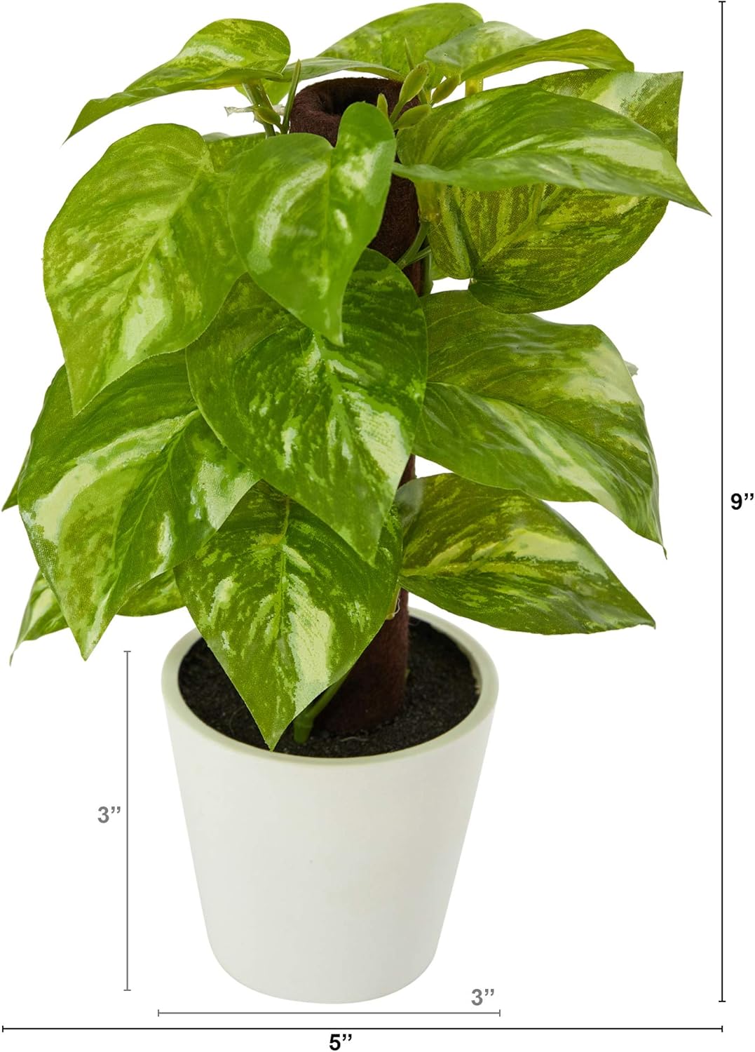Nearly Natural 9in. Pothos Artificial Plant in White Planter (Real Touch) 1 Count (Pack of 1)