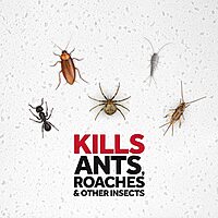 Raid Max Ant & Roach Aerosol Spray 14.50 oz (Pack of 3)