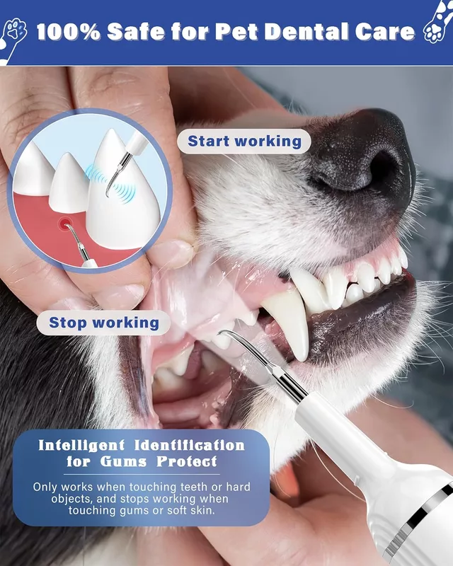 kit de cepillado de dientes de mascotas
