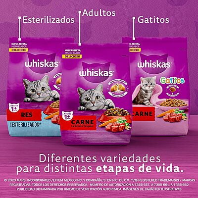 Whiskas - Whiskas Whiskas alimento para Gatos Adultos Sabor Carne Receta Orginal 9Kg Violeta Whiskas - Whiskas Whiskas alimento para Gatos Adultos Sabor Carne Receta Orginal 9Kg Violeta
