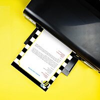 Barker Creek Designer Computer Paper, Wide Stripes With Bee, 8.5” x 11”, Decorative Printer Paper, 50 Sheets