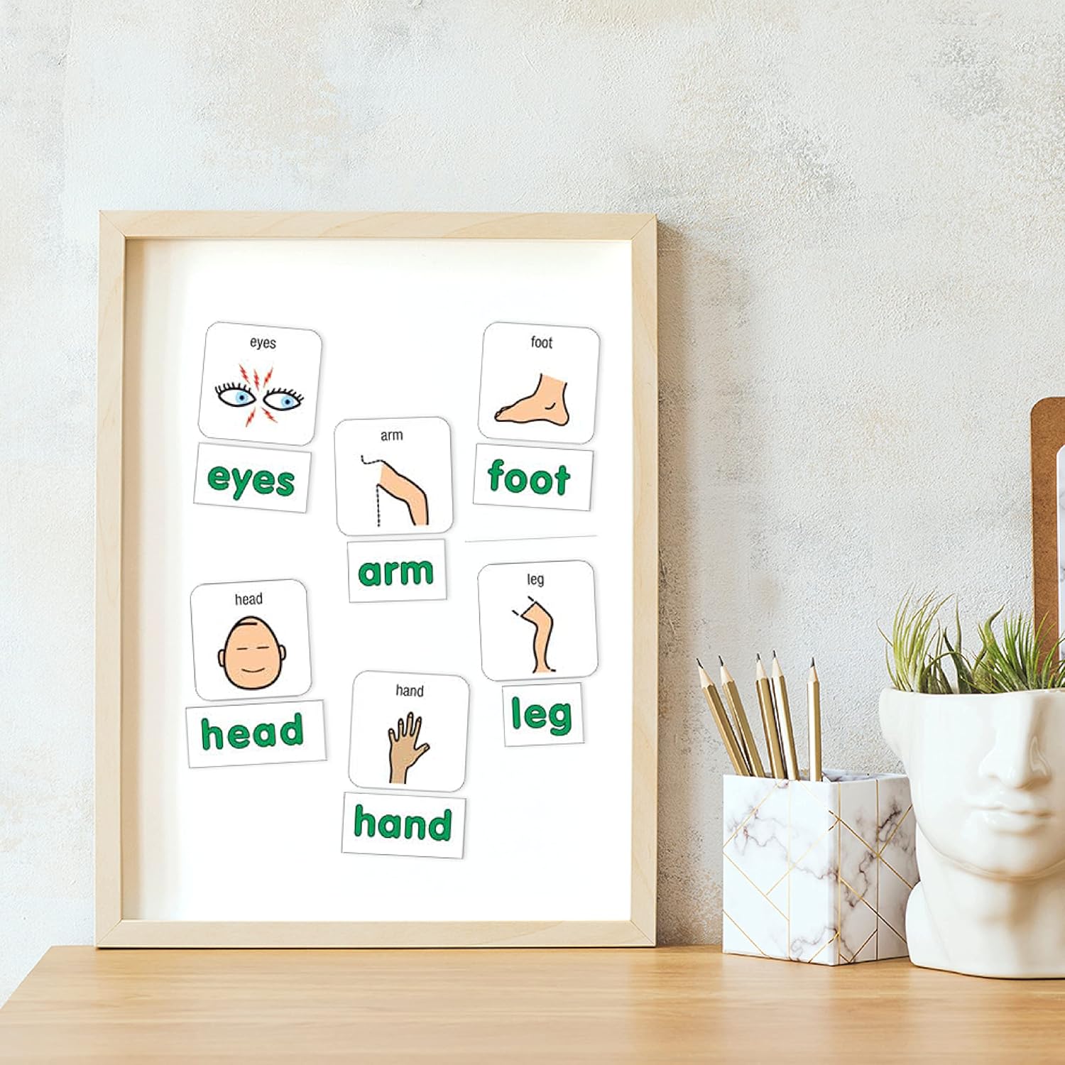 BARKER CREEK Learning Magnets, Picture Communication Symbol (PCS) Word Magnets