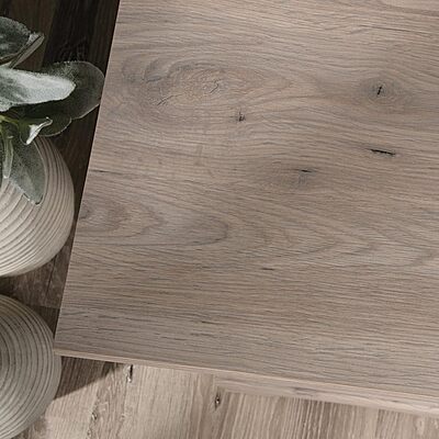 Sauder Select 60inW Double-Pedestal Computer Desk