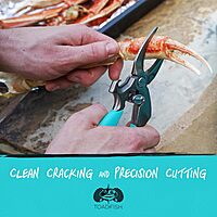 Toadfish Crab Leg Cracker Tool - Seafood Shell Cracking Tool - Stainless Steel Serrated Cutter - Ergonomic Non-Slip Grip