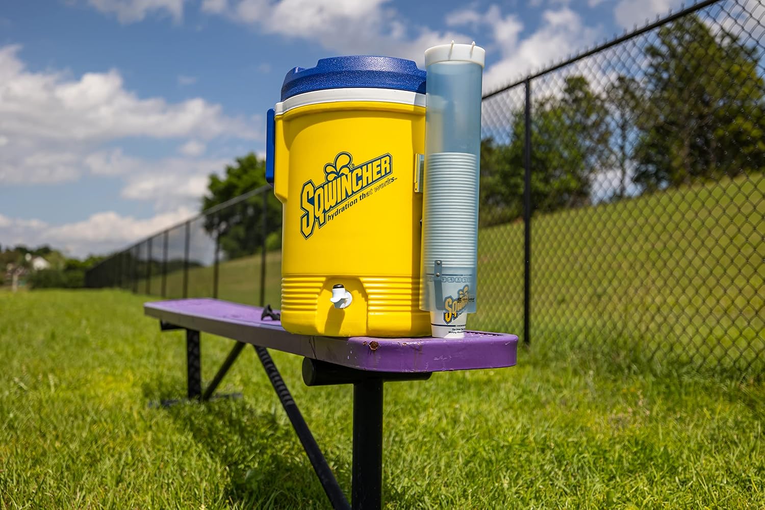 Sqwincher Liquid Concentrate | Tropical Cooler Flavored | Low Calorie | Low Sodium | Electrolyte Replenishment Hydration