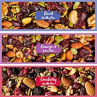 Nature's Garden Healthy Trail Mix Snack Pack (28.8 oz) Healthy Trail Mix 1.2 Ounce (Pack of 24)