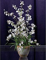 Nearly Natural 1005-WH Dancing Lady Silk Orchid Arrangement White 29" x 10.25" x 10.25"