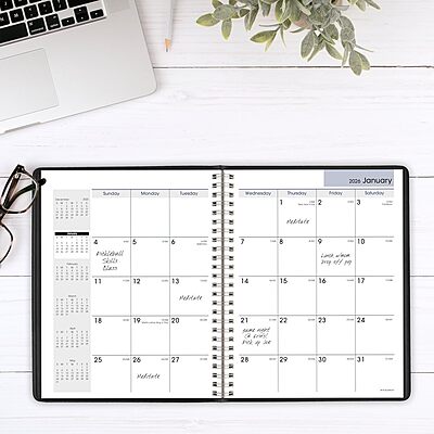 AT-A-GLANCE DayMinder Monthly Planner, Wire-Bound