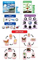 Scholastic Teachers Friend Early Science Concepts Bulletin Board Set, Preschool - Grade 2