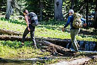 Gerber Freescape Camp Saw [31-002820]