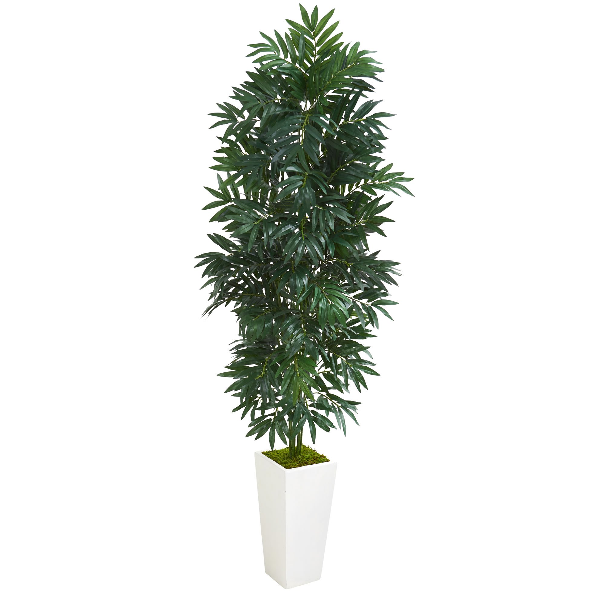 Nearly Natural 5ftH Bamboo Palm Artificial Plant With Planter, 60inH x 20inW x 20inD, White/Green