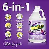 OdoBan Disinfectant Concentrate and Odor Eliminator, 1 Gallon, Lavender Scent