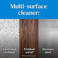 Clorox CloroxPro EcoClean Disinfecting Cleaner Refill, 128 Fluid Ounces 128 Fl Oz (Pack of 1)