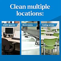 Clorox CloroxPro EcoClean All-Purpose Cleaner Spray Bottle, 32 Fluid Ounces