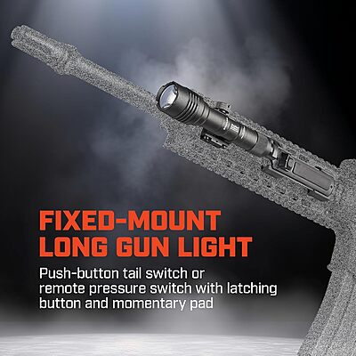 Streamlight 88059 ProTac Rail Mount 2 625-Lumen Weapon Light with CR123A Batteries and Remote Pressure Switch, Tail Switch