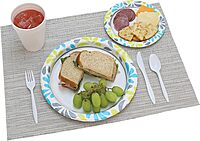 Genuine Joe Printed Disposable Paper Plates