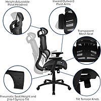 Flash Furniture LO Ergonomic Mesh Office Chair with 2-to-1 Synchro-Tilt, Adjustable Headrest, Lumbar Support
