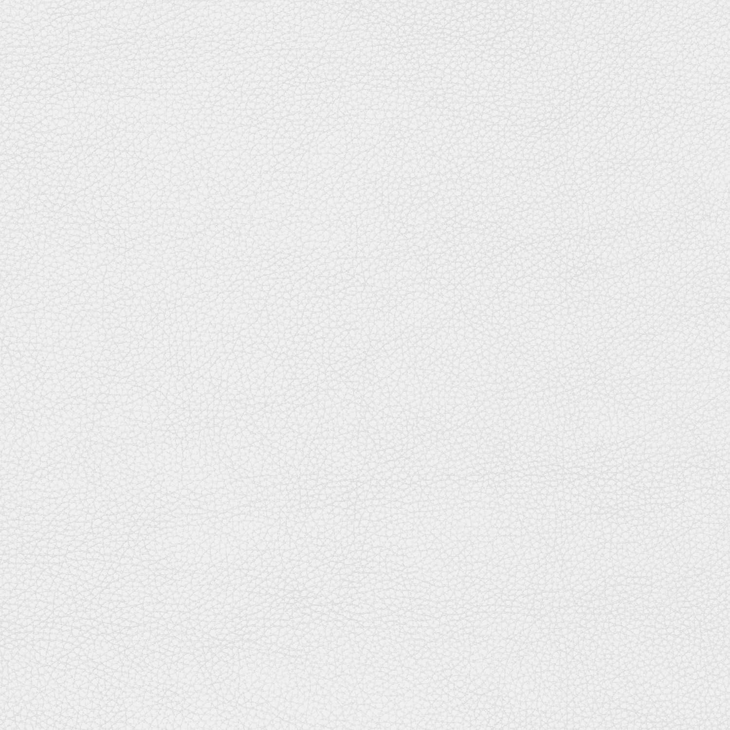 Martha Stewart Taytum Swivel Task Chair with Armrests for Home Office