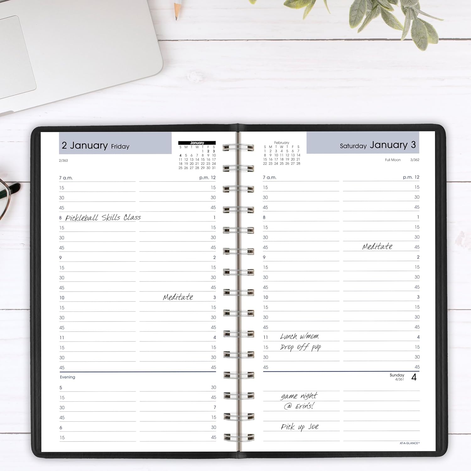 AT-A-GLANCE 2026 Appointment Book Planner, Daily, 5" x 8", Small, Quarter-Hourly, DayMinder, Black (G1000026)